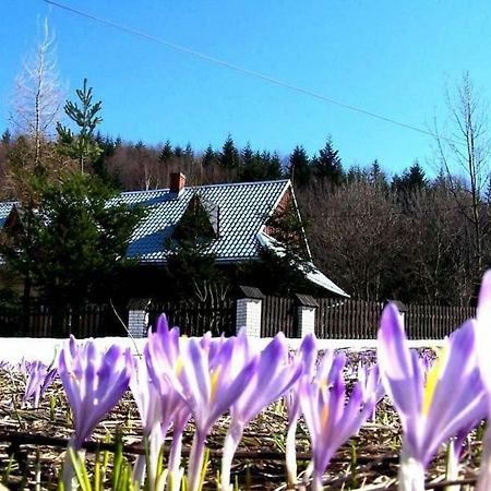 Goralska Czarcia Chata Pod Jalowcem 스트리샤와 외부 사진