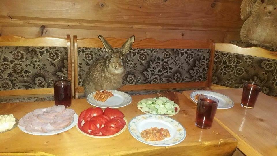 Goralska Czarcia Chata Pod Jalowcem 스트리샤와 외부 사진